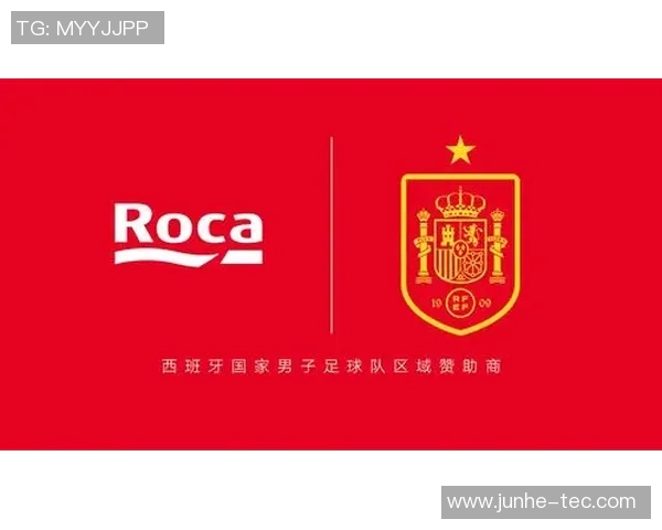 西班牙国家男子足球队的辉煌历程与未来展望解析